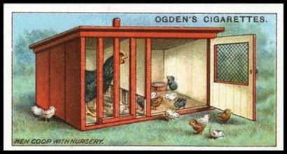 11 Hen Coop With Nursery